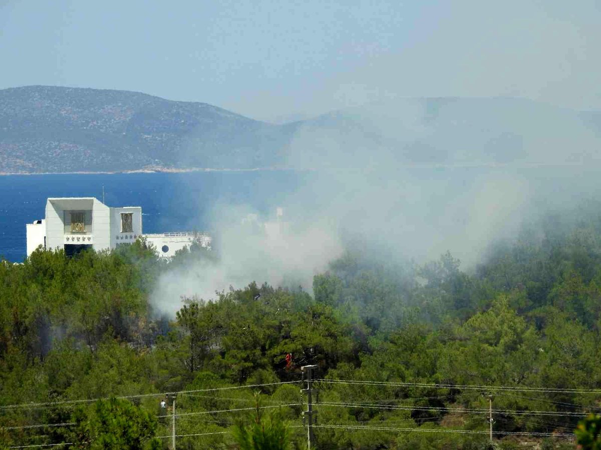 Çeşme\'de çıkan yangın kısa sürede kontrol altına alındı