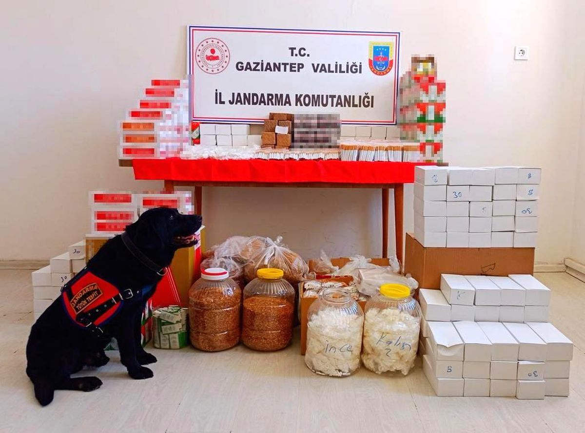 Gaziantep\'te uyuşturucu ve kaçakçılık operasyonu: 76 gözaltı