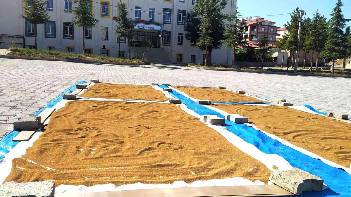 Hisarcık\'ta şifa deposu haşhaş tohumları yıkanıp güneşte kurutuluyor