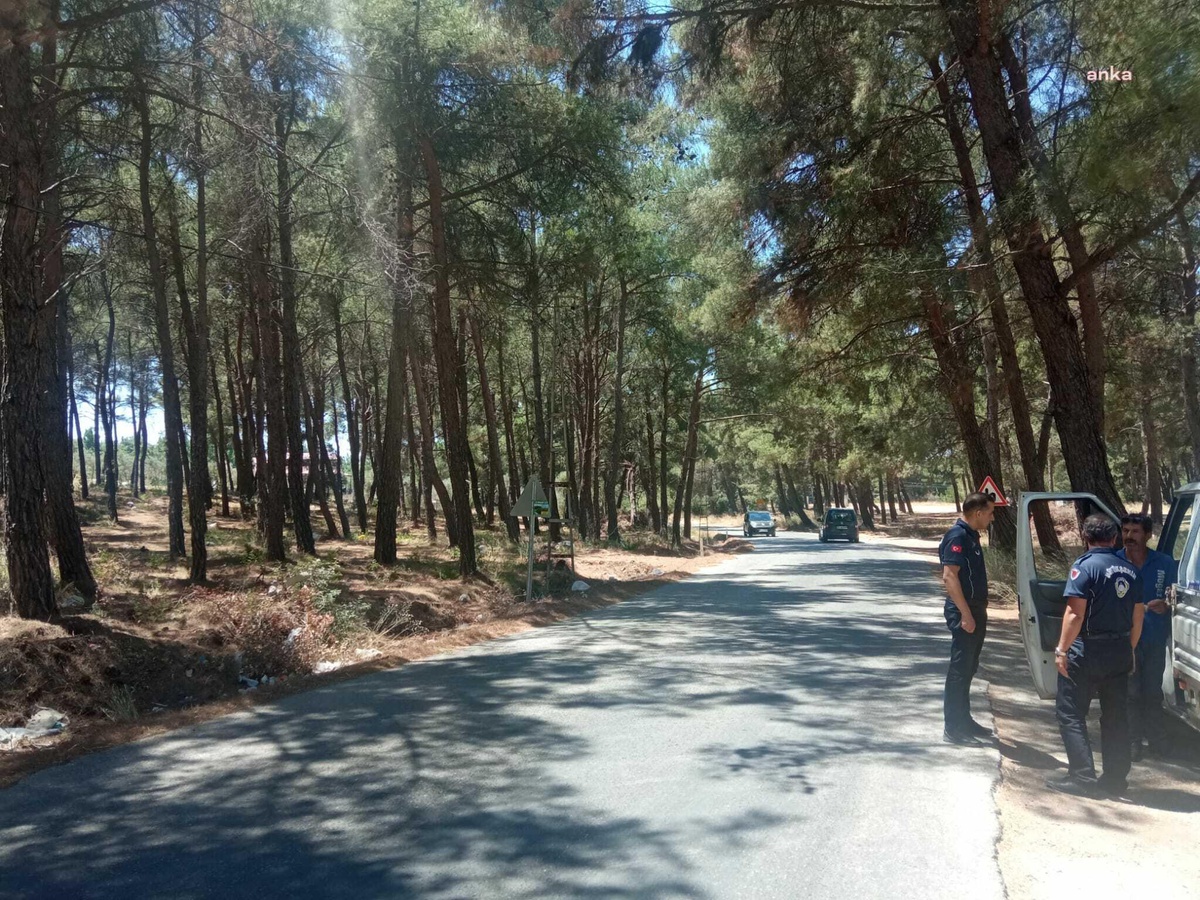 İzmir\'in Ormanlarını Korumak İçin Zabıta İş Başında