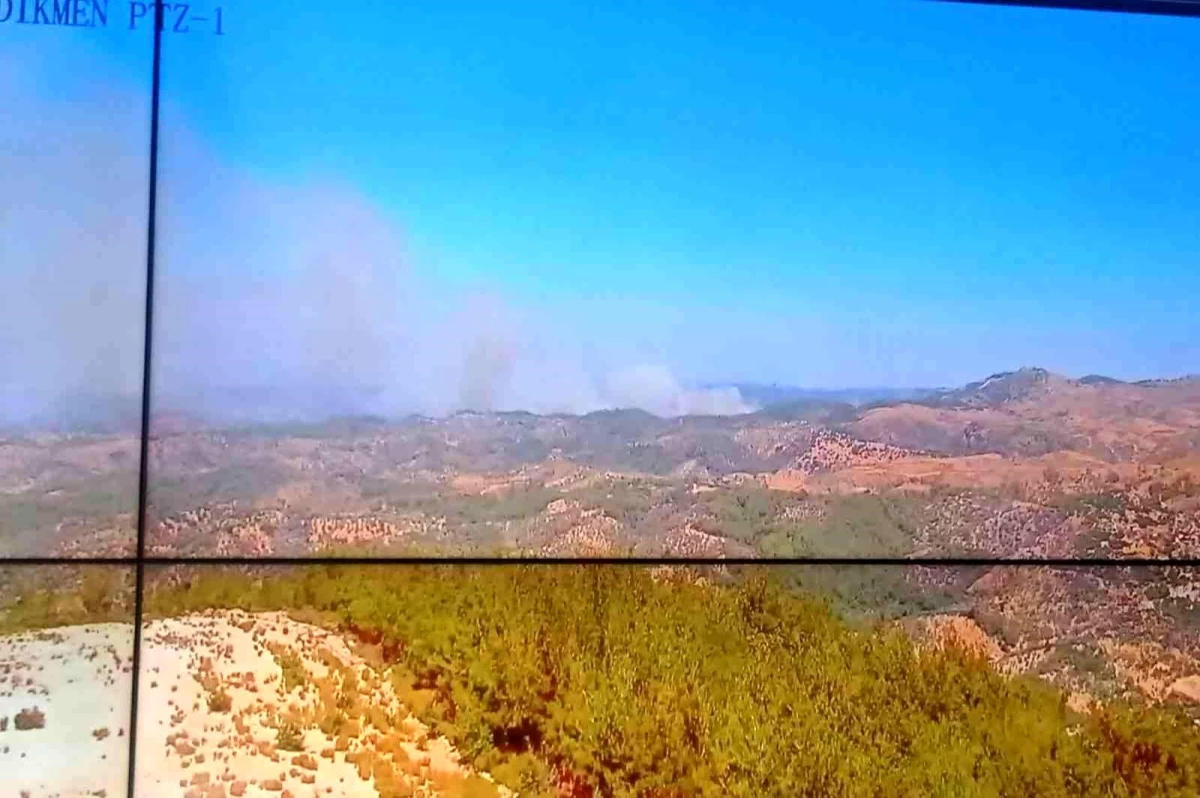 İzmir Seferihisar\'da orman yangını