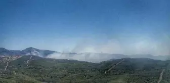 İzmir Seferihisar'da orman yangını