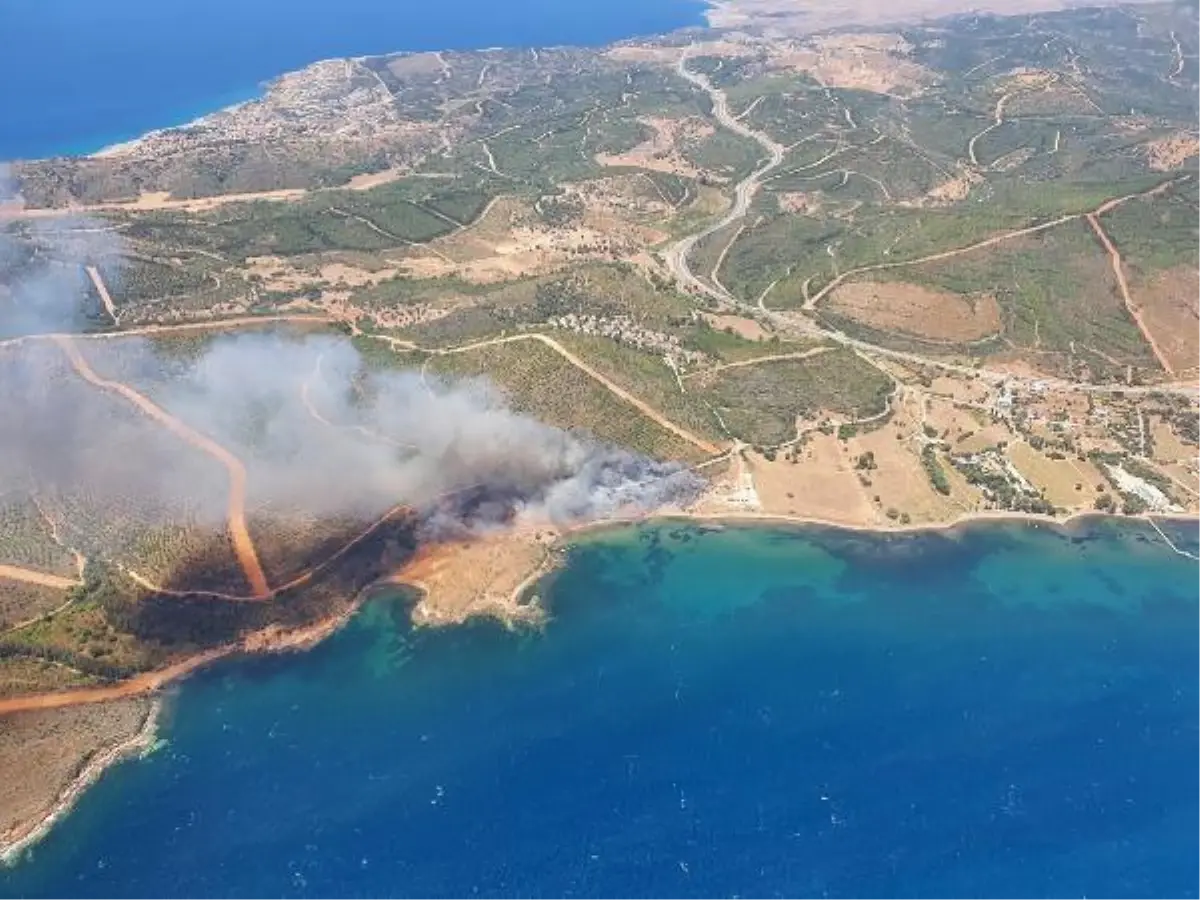 İzmir Seferihisar\'da orman yangını (2)