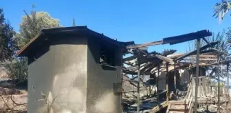 İzmir Seferihisar'da orman yangını (4)