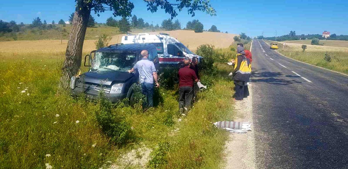 Kontrolden çıkan hafif ticari araç ağaca çarptı: 1 yaralı