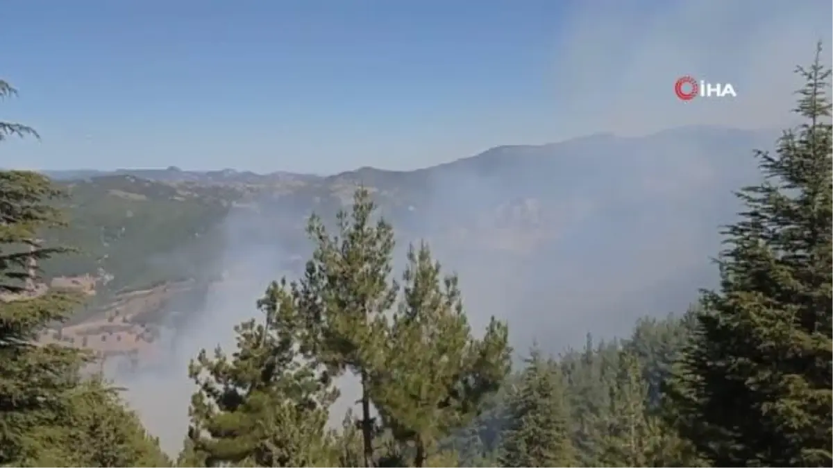 Adana\'daki orman yangını