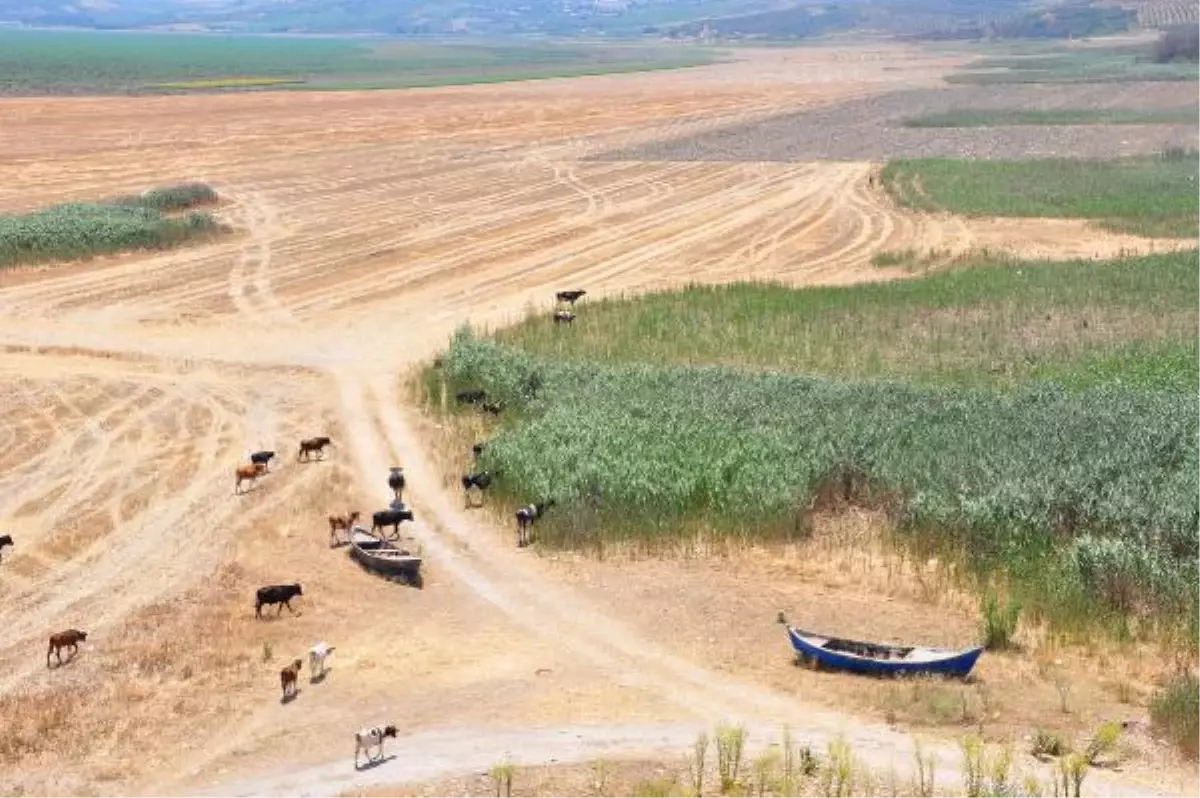 Balıkesir haber... Marmara Gölü\'nü kurtaracak proje açıklandı