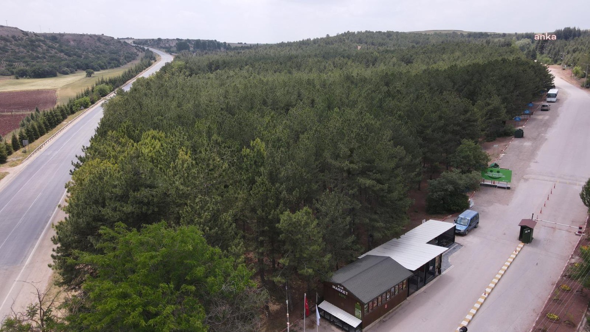 Odunpazarı\'nda Mesire Alanlarında Mangal Yakmak Yasaklandı