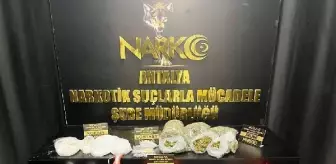 Polisten 'kökünü kurut' operasyonu: 32 gözaltı