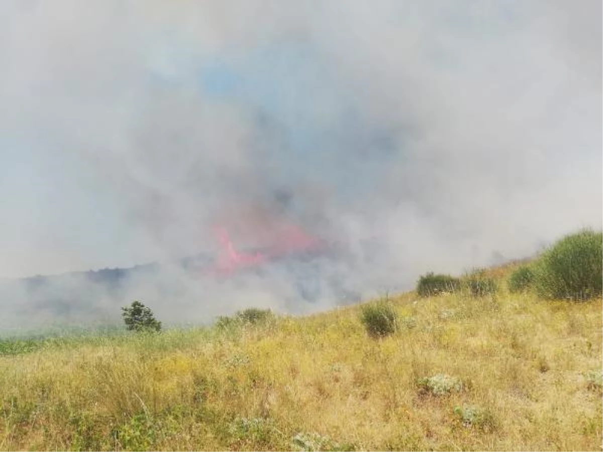 Şarköy\'de makilik yangını; 5 hektar yandı