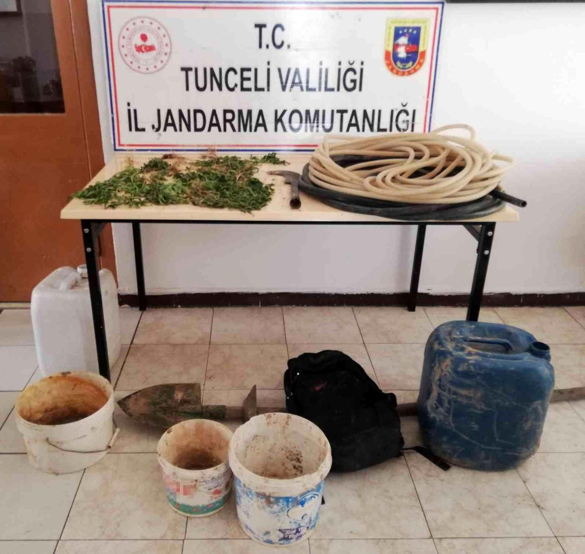 Tunceli\'de bir evde kenevir ele geçirildi