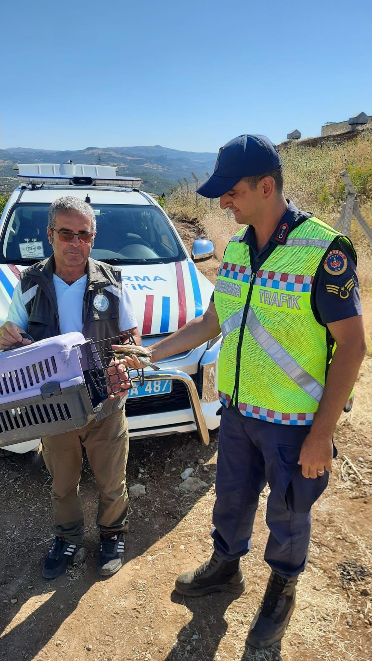 Tunceli\'de jandarmanın yaralı bulduğu arı kuşu tedaviye alındı
