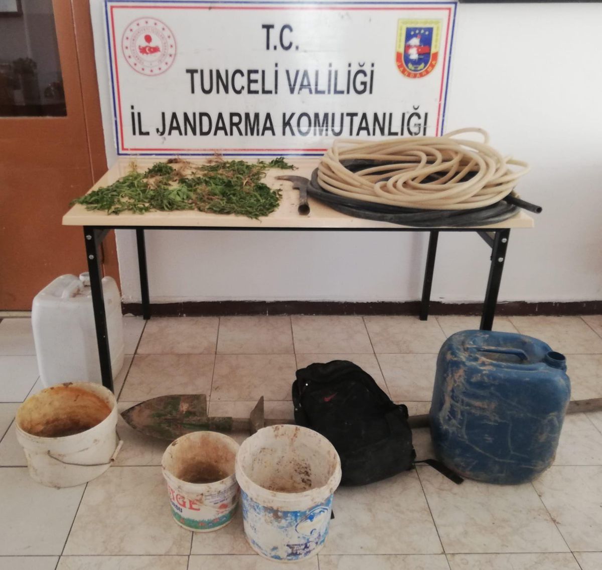 Tunceli\'de ormanlık alanda kenevir yetiştiren kişi gözaltına alındı