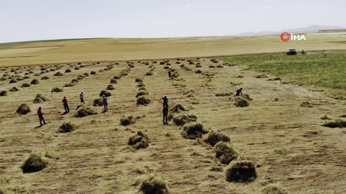 Yağmur bereketinden faydalanan çiftçinin yüzü gülüyor