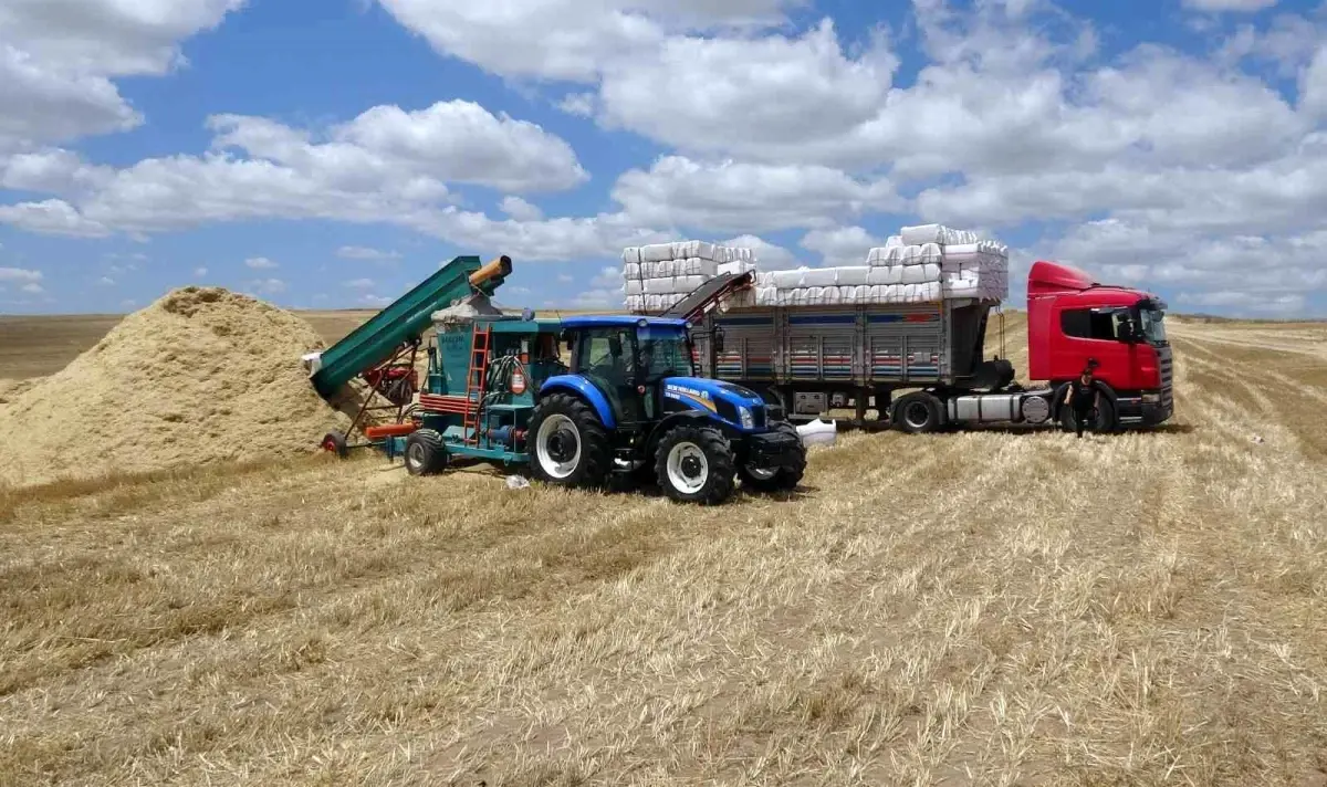 Yozgat\'ta saman balyası mesaisi başladı