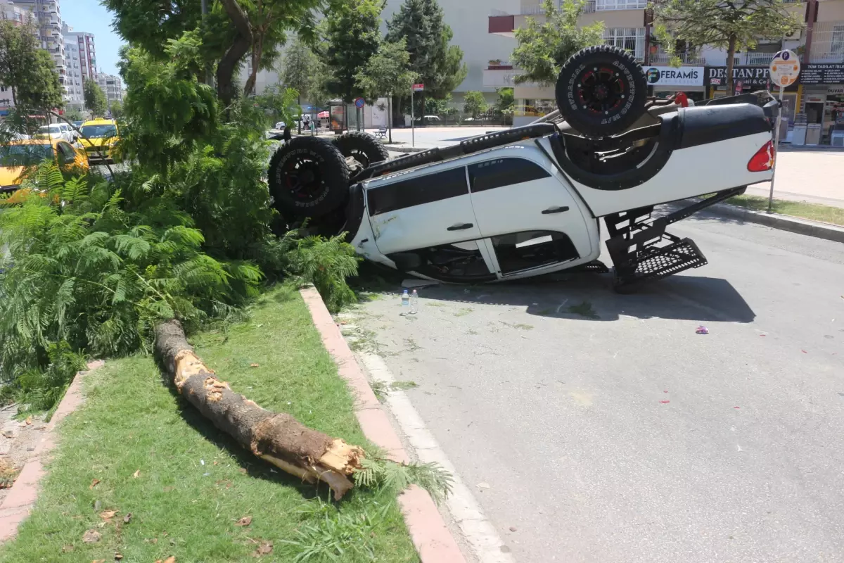 Adana'da refüjdeki ağaca çarpan araçtaki 4 kişi yaralandı