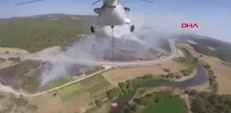 Çanakkale'de orman yangını