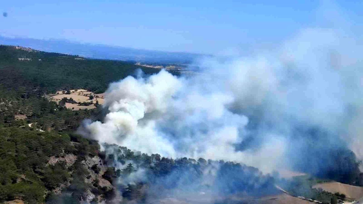 Çanakkale\'de orman yangını