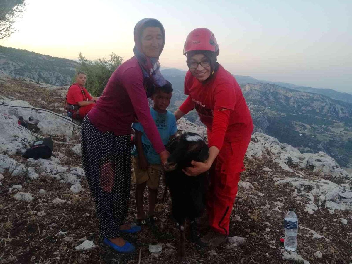 Kayalıklarda mahsur kalan 2 keçi, kurtarıldı