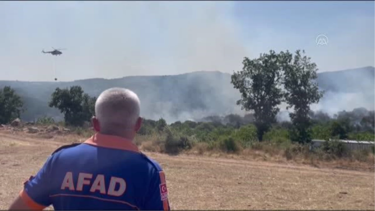 Kırklareli\'nde çıkan orman yangınına müdahale ediliyor