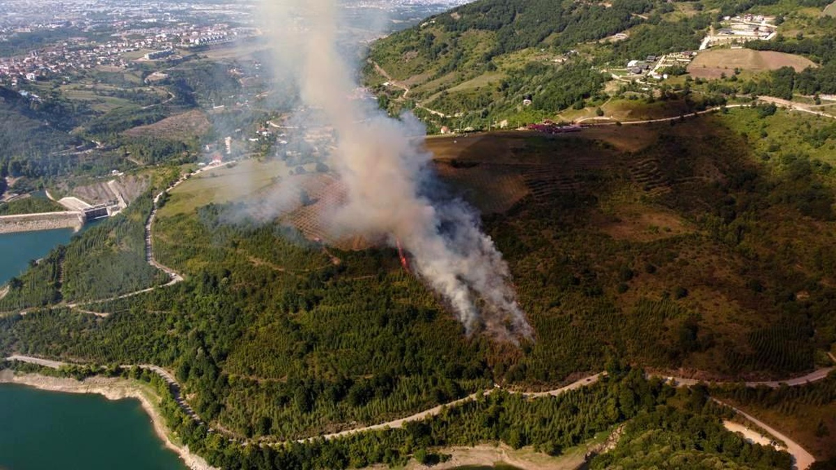 Kocaeli\'de ormanlık alanda yangın çıktı, söndürme çalışmaları devam ediyor
