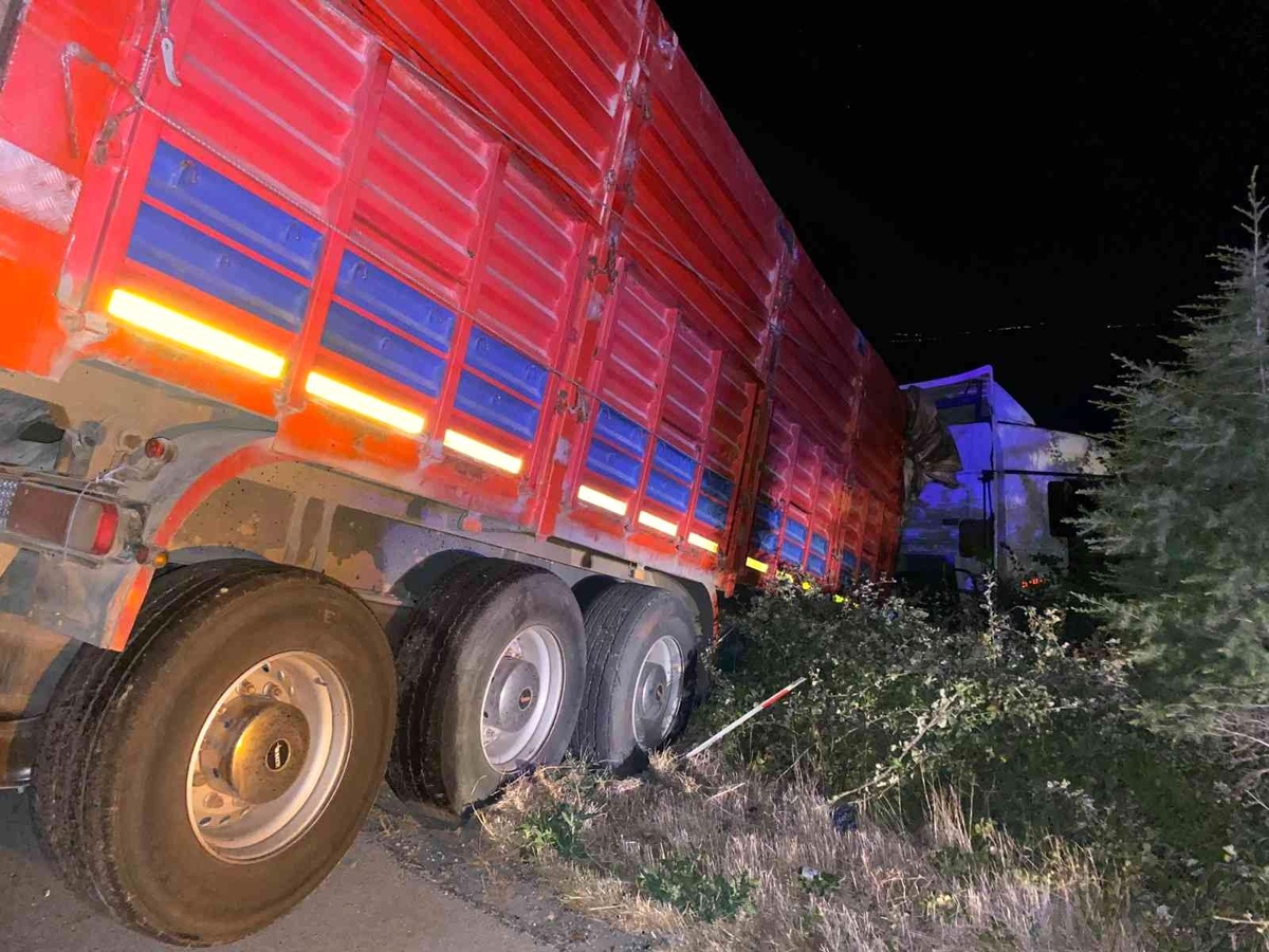 Kontrolden çıkan tır şarampole düştü: 1 yaralı