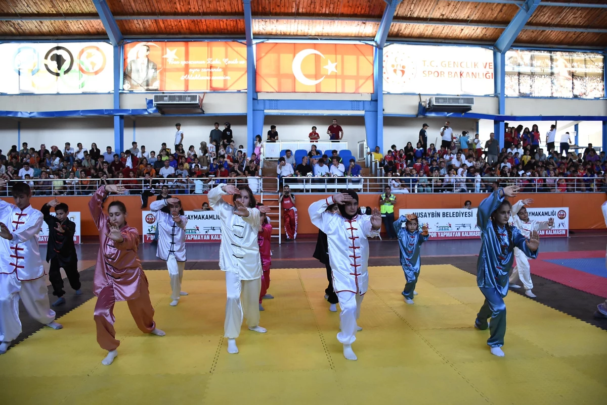 Mardin\'de Wushu Şampiyonası başladı