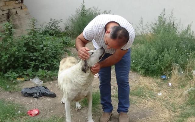 Tokat'tan dükkan önünde 45 dakika bekleyen köpeğin sırrı ortaya çıktı Tokat'tan dükkan önünde 45 dakika bekleyen köpeğin sırrı ortaya çıktı