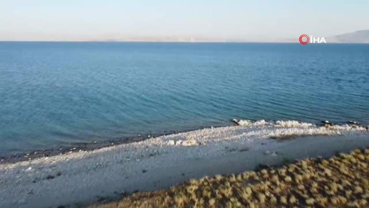 Van Gölü için Bitlis\'e kadar yüzdüler