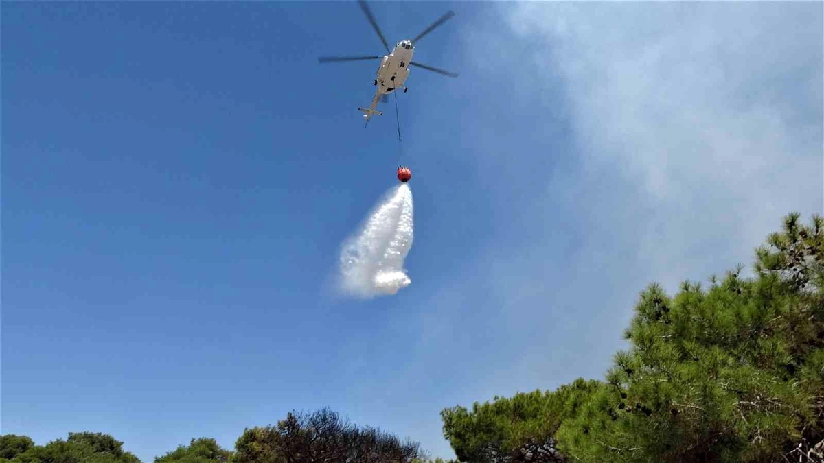 Antalya\'da çamlık alandaki yangın kontrol altına alındı