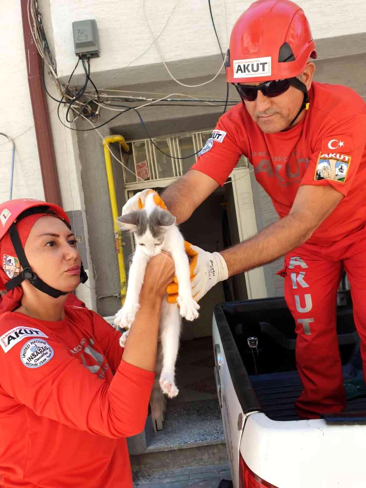 Binanın ikinci katında mahsur kalan kedi AKUT\'un operasyonuyla kurtarıldı