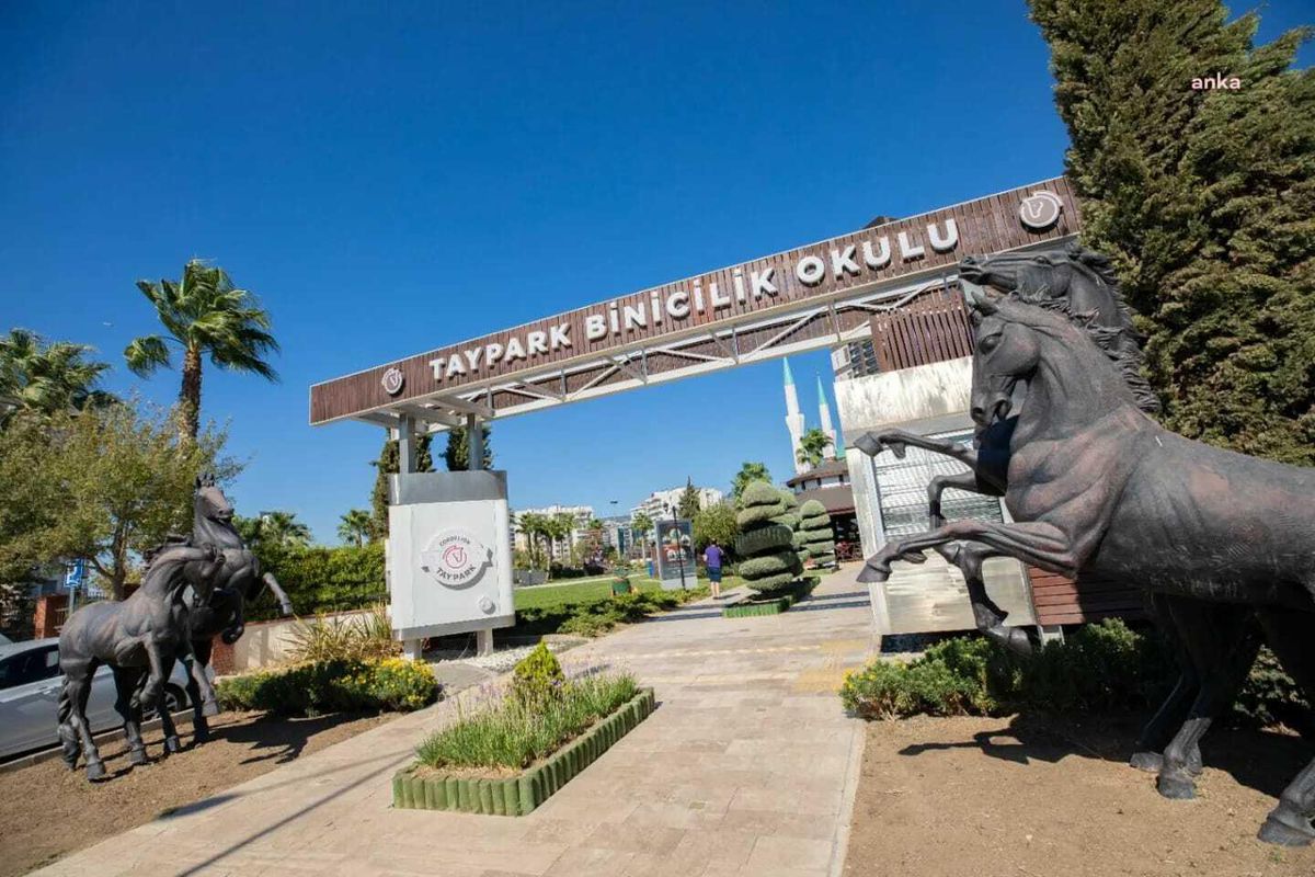 Geleceğin Binicileri Taypark\'ta Yetişiyor
