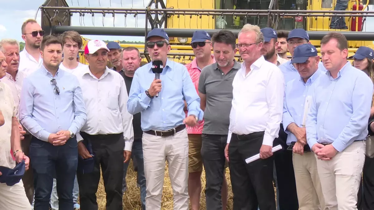 İbb\'nin İstanbullu Çiftçiye Bedelsiz Dağıttığı Yerli Tohumun Ürünlerinin Hasat Zamanı Geldi