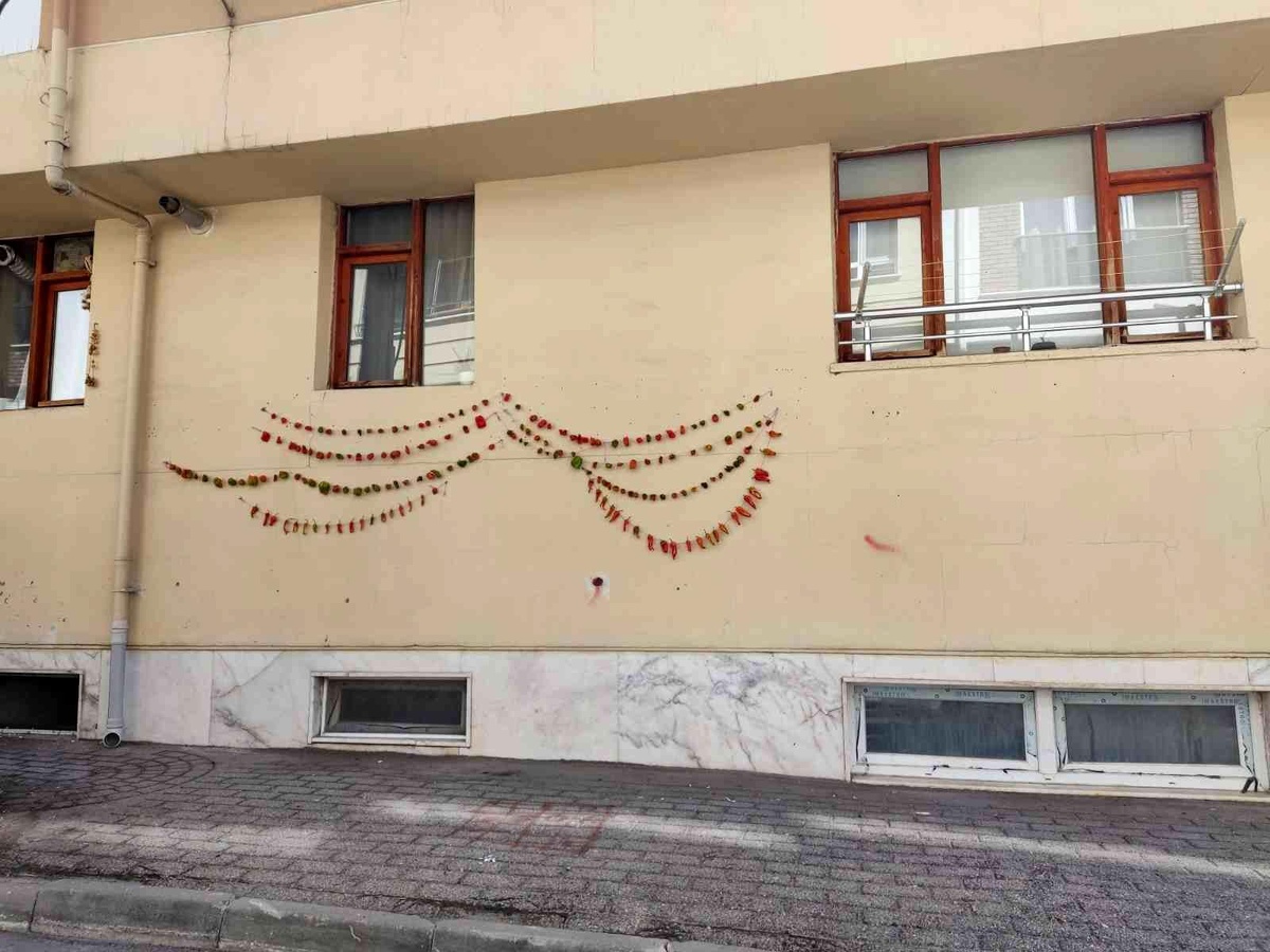 Kışlık biberler kurutulmak üzere asıldı