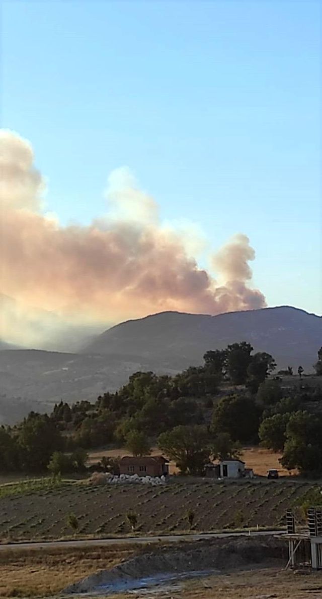 Son dakika haberi... Kütahya'da Emet'te orman yangını... Ekipler yangına müdahale ediyor Son dakika haberi... Kütahya'da Emet'te orman yangını... Ekipler yangına müdahale ediyor