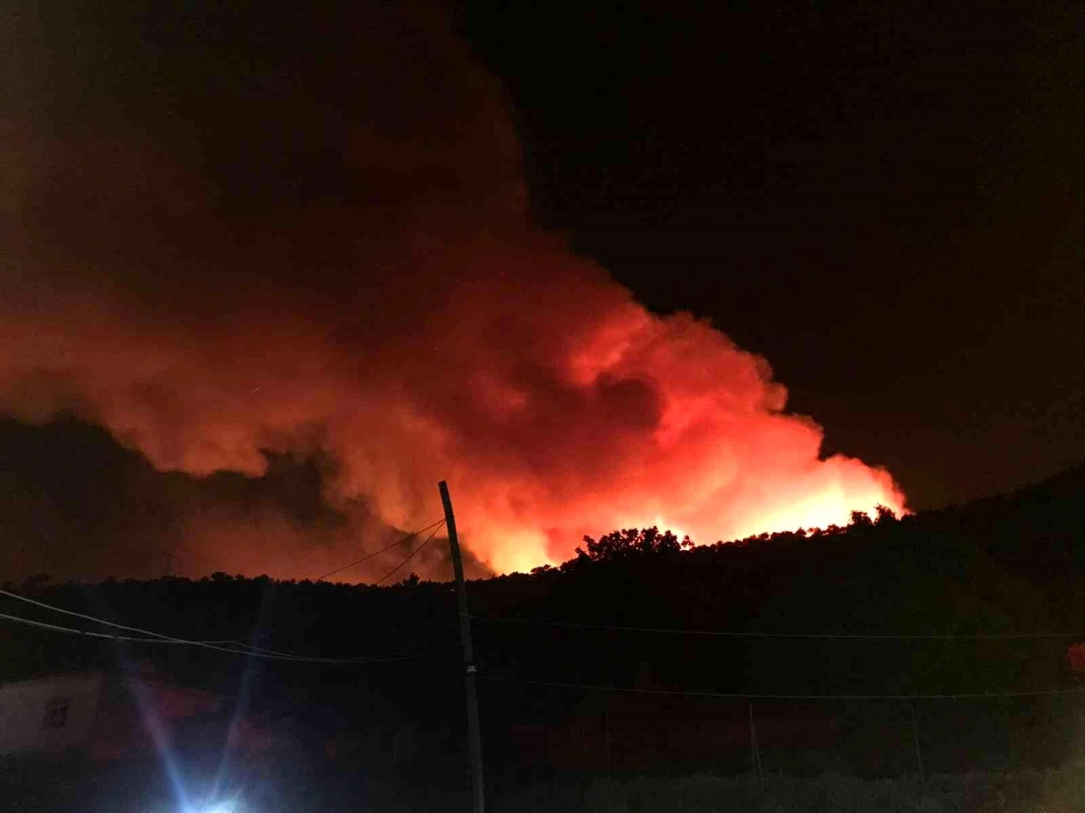 Kütahya\'da orman yangınını söndürme çalışmaları devam ediyor