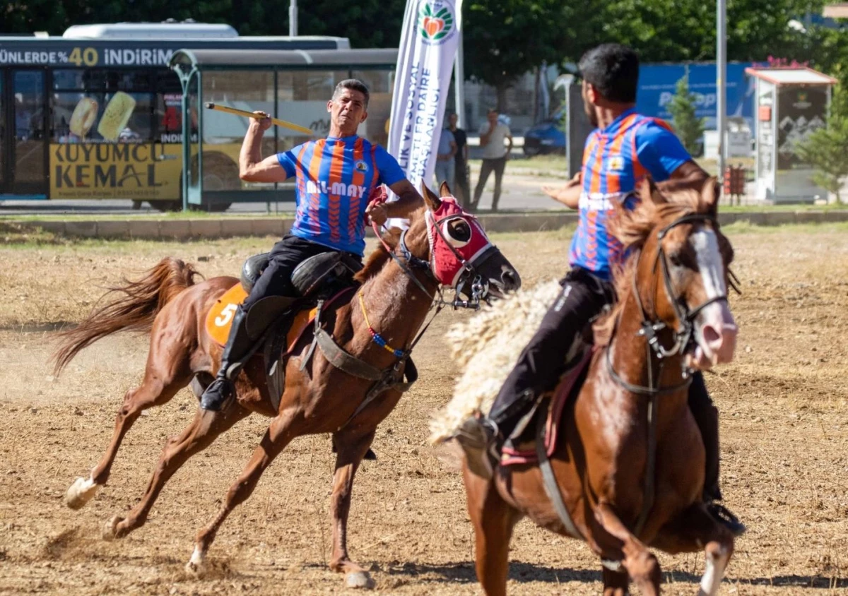 Malatya\'daki kayısı festivalinde atlı cirit gösterisi sunuldu