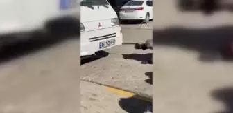 Bingöl'de otomobilin motor kısmına giren yılan itfaiye ekiplerince çıkarıldı