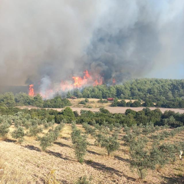 Son Dakika: Manisa ve Kütahya'da orman yangını! Alevlerin yaklaştığı yerleşim yerlerindeki vatandaşlar tahliye edilmeye başlandı Son Dakika: Manisa ve Kütahya'da orman yangını! Alevlerin yaklaştığı yerleşim yerlerindeki vatandaşlar tahliye edilmeye başlandı
