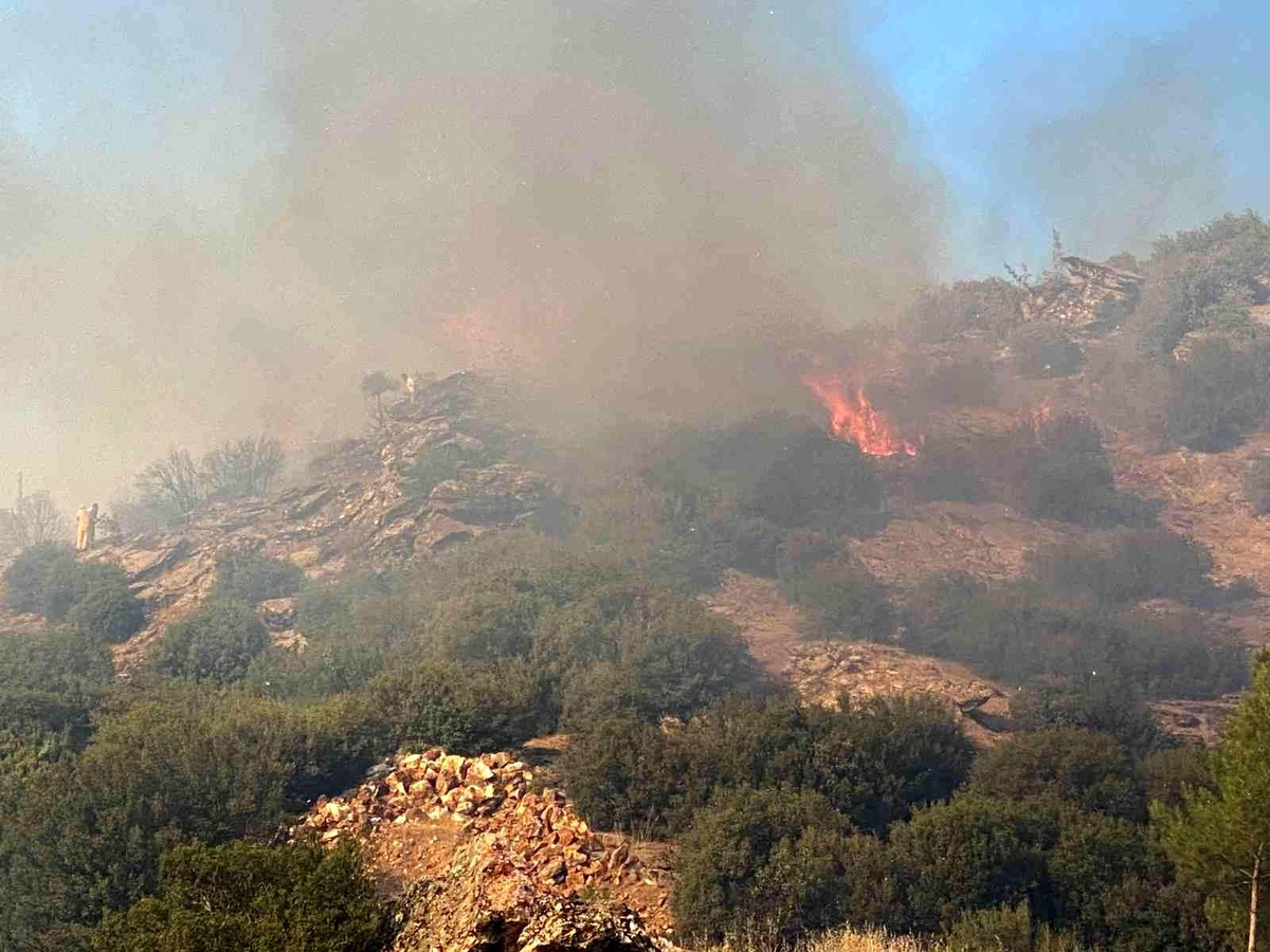 Uşak\'taki yangınında 5,5 hektar alan kül oldu