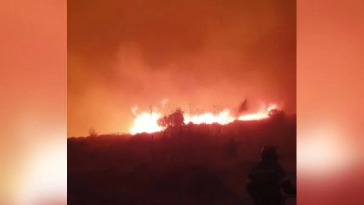 Yunanistan\'da 24 saatte 53 noktada orman yangını çıktı