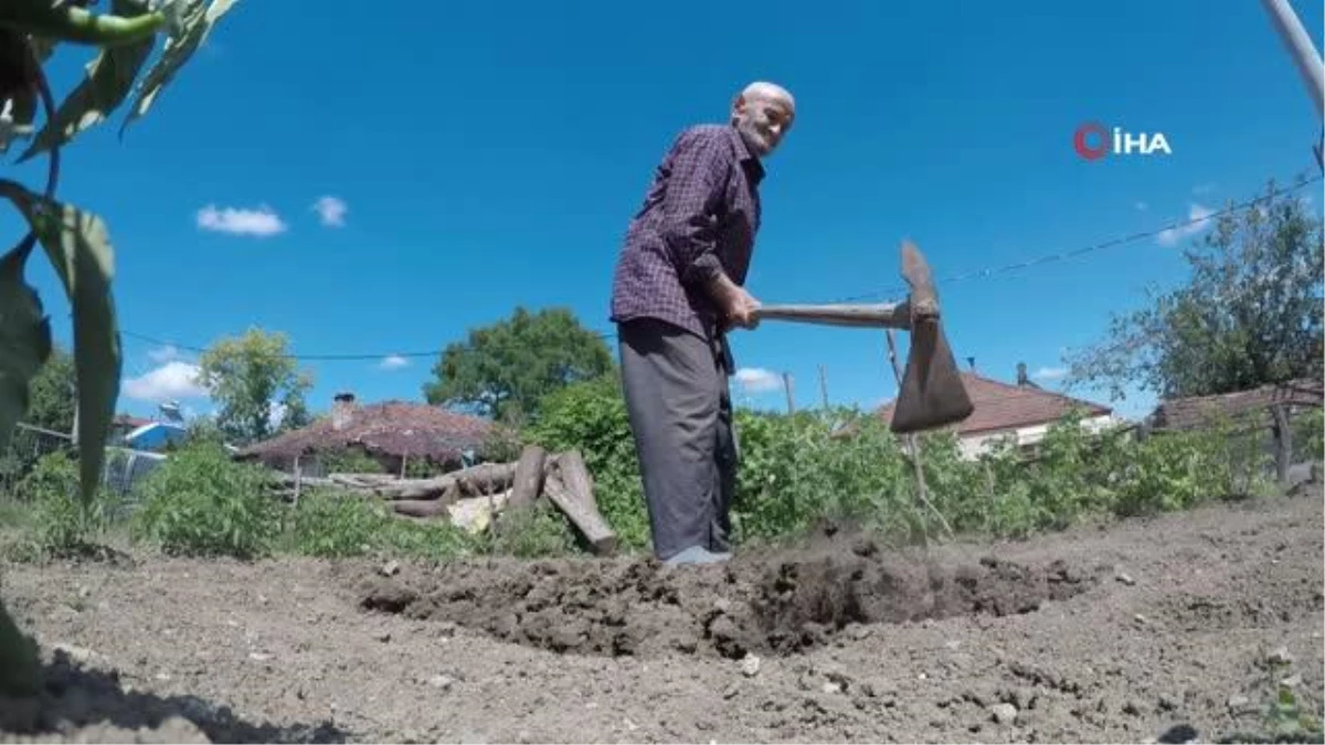 90 yaşında, yalnızlığını çalışarak unutuyor