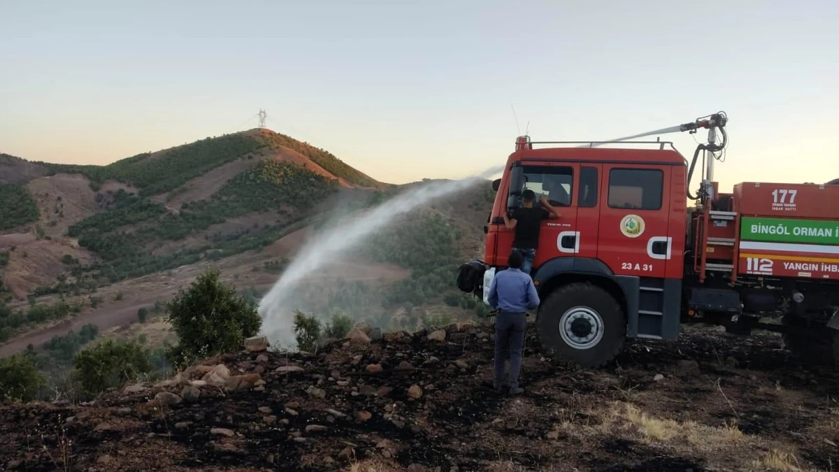 Bingöl\'de 3 köyde çıkan orman yangınları söndürüldü