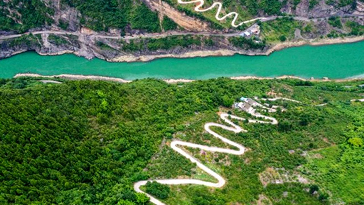 Chongqing Yamaçlarında Erik Üretimi