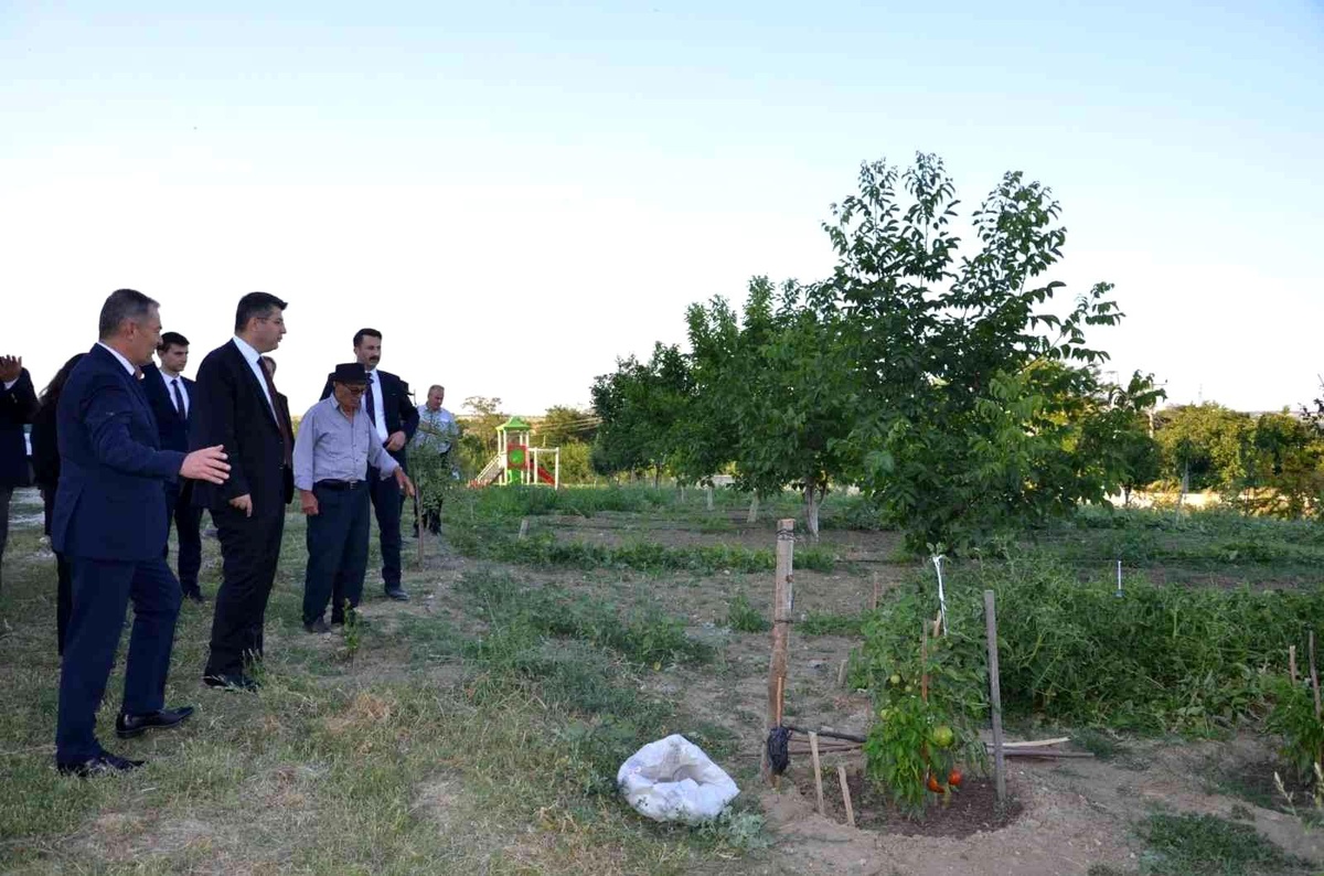 Huzurevi sakinleri kendi sebzelerini yetiştiriyor