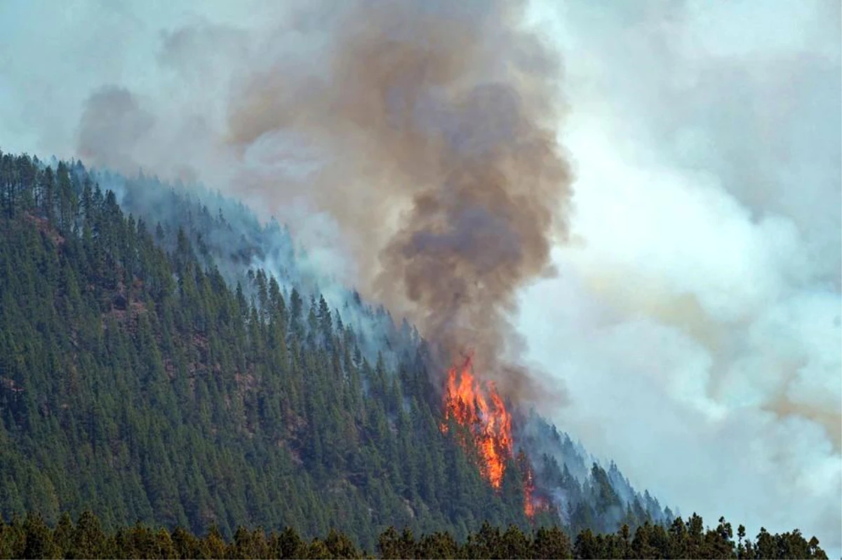 İspanya\'daki orman yangınları söndürülemiyor