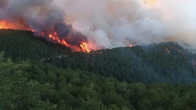 Kütahya'da ortalığı küle döndüren orman yangını kontrol altına alındı