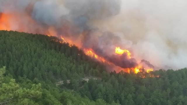 Kütahya'da ortalığı küle döndüren orman yangını kontrol altına alındı