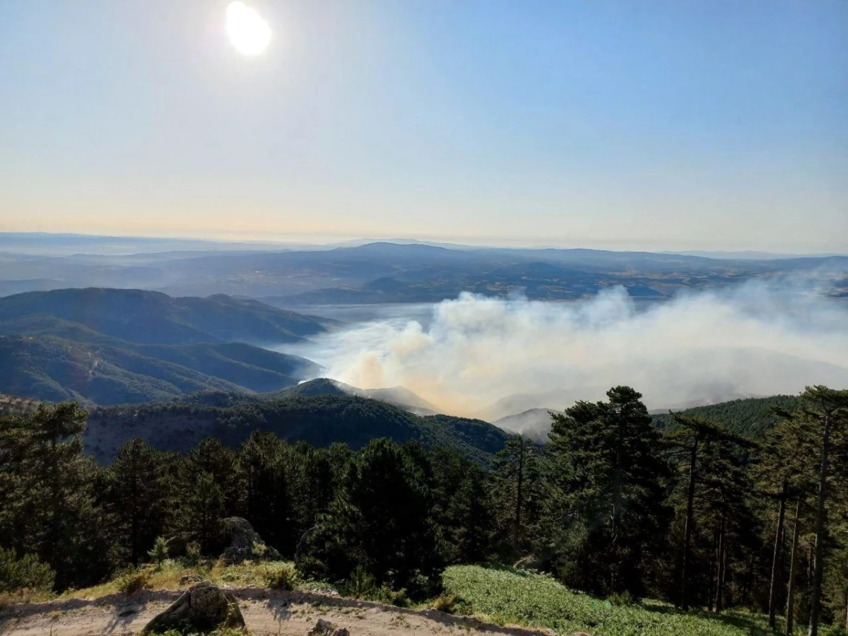 Kütahya\'daki orman yangınına havadan ve karadan müdahale sürüyor