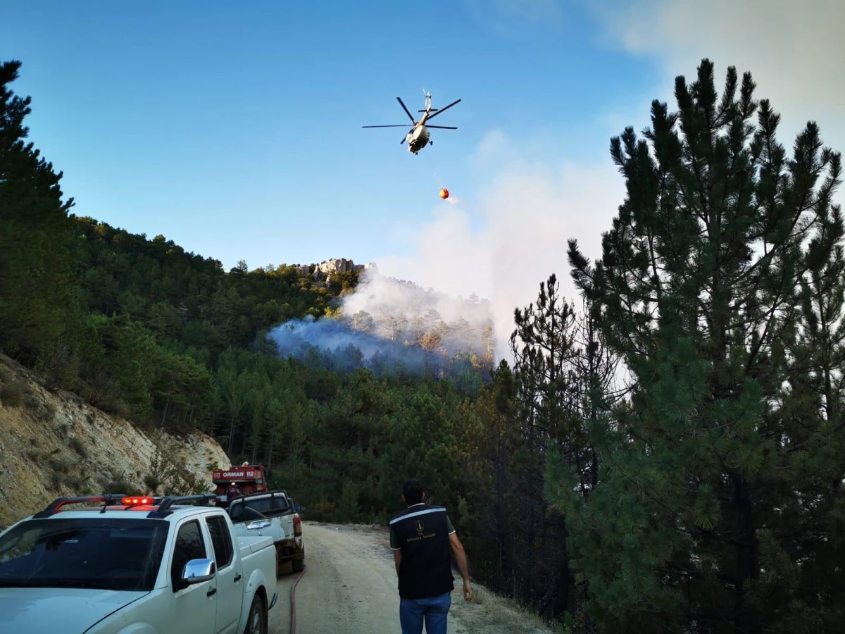 MSB, Kütahya\'da devam eden orman yangınları için 8 helikopter görevlendirdi
